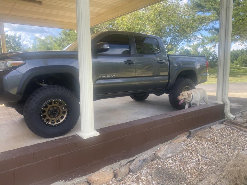 3.5 Inch Lifted 2018 Toyota Tacoma 2WD