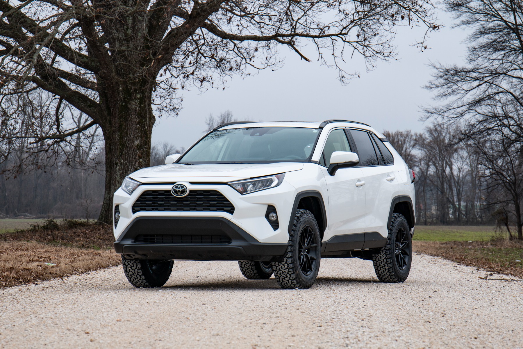 2.5 Inch Lifted 2019 Toyota Rav4