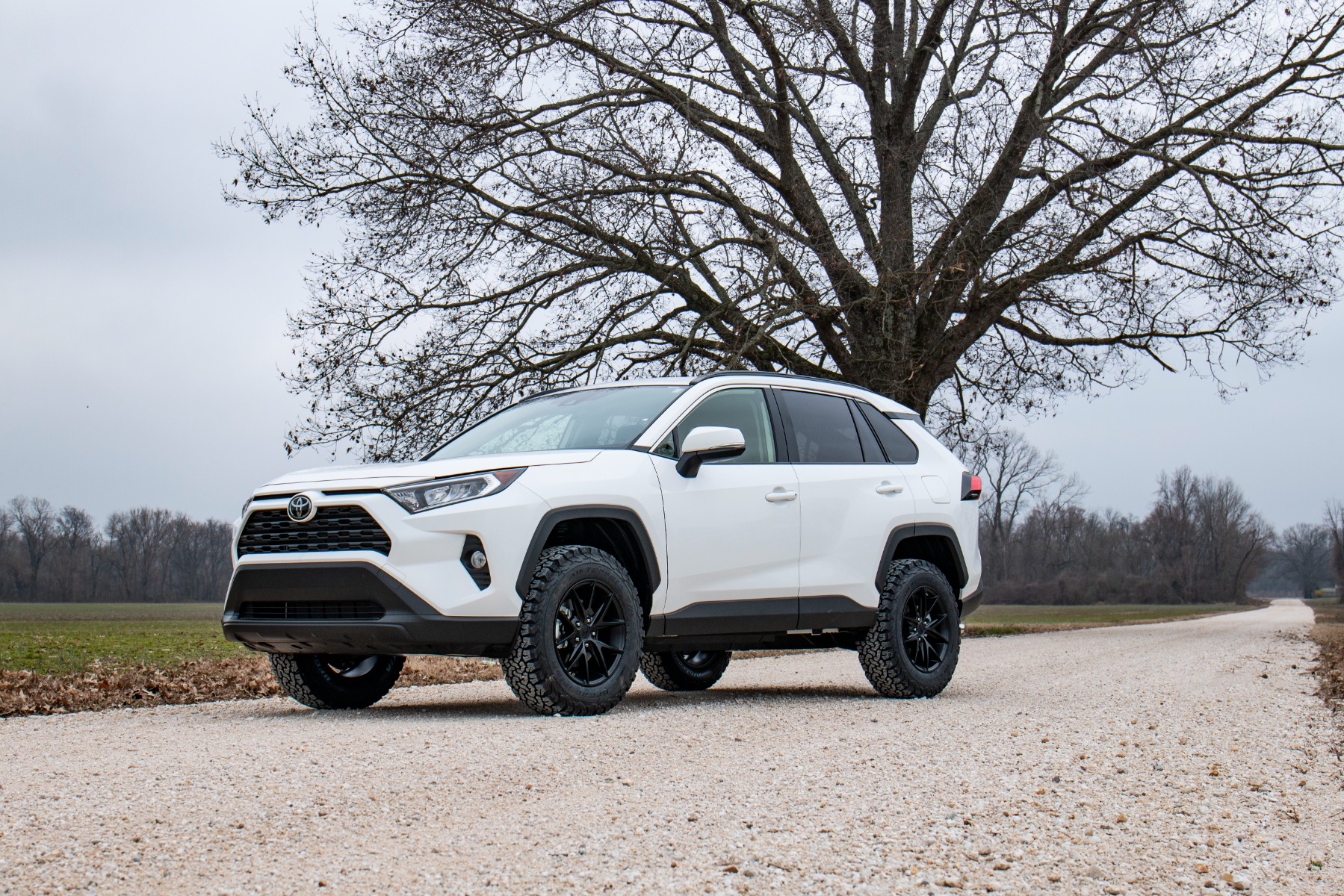 2.5 Inch Lifted 2019 Toyota Rav4