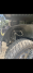 7.5 Inch Lifted 2013 GMC Sierra 1500 4WD